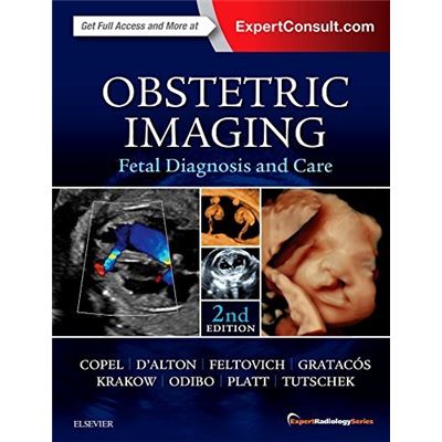 Obstetric Imaging: Fetal Diagnosis And Care, 2E