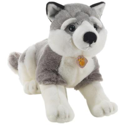 PLUSH&COMPANY - 15754 - PELUCHE - TOMSKY HUSKY DE SIBÉRIE - 50 CM