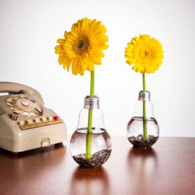Set de 6 Vases ampoules