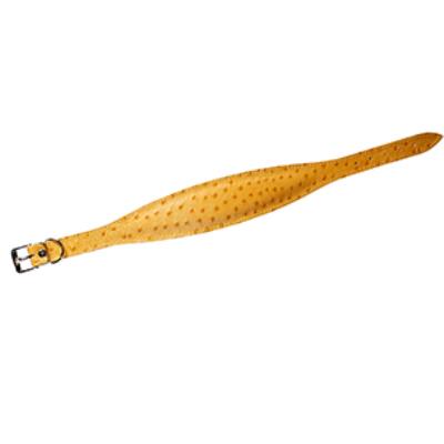 Meilleurs prix pour Ventus Collier Jaune 55Cm60Mm - Karlie