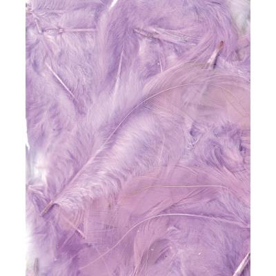 Plumes - Mauve clair 3 g - Ébouriffées - Lg 8 à 12 cm
