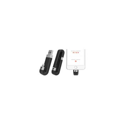 Leef iBRIDGE - USB-flashstation - 256 GB