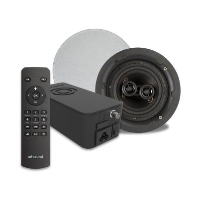 Ensemble amplificateur-radio-dab-Bluetooth et une enceinte stéréo encastrable ARTSOUND - PACKHYDE/FL550