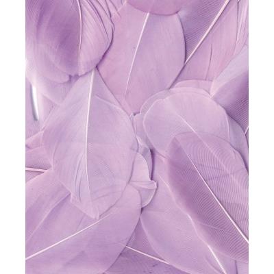Plumes - Mauve clair 3 g - Lissées - Lg 6 cm env.