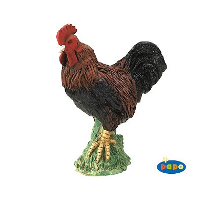 Coq