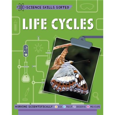 Life Cycles