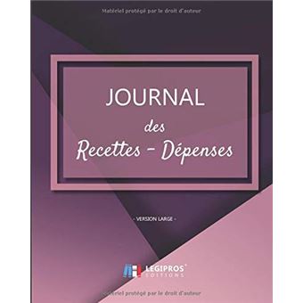 Journal Recettes - Dépenses: Registre auto entrepreneur, livre de