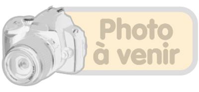 Antivol pour portable