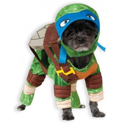 Costume Leonardo Tortues Ninja  pour chien - S