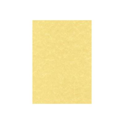 DECAdry PCL1600 - structuurpapier - 100 vel(len)