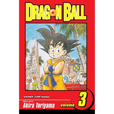 Into the fire, Dragon Ball Series