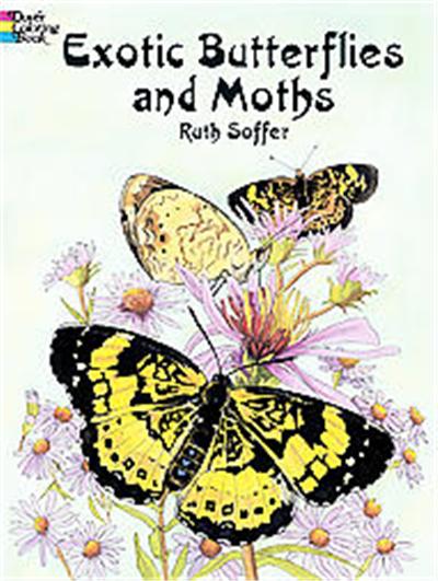 Exotic Butterflies and Moths, Dover Pictorial Archive Series