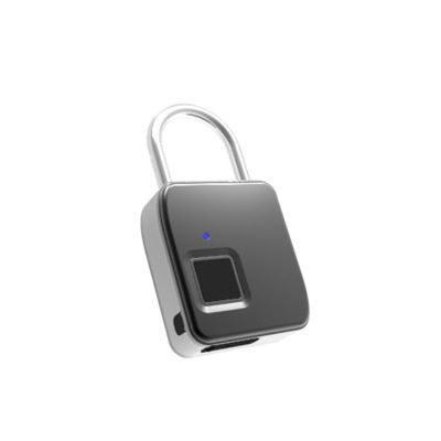 Cadenas Numérique à Empreinte Digitale (Argent)