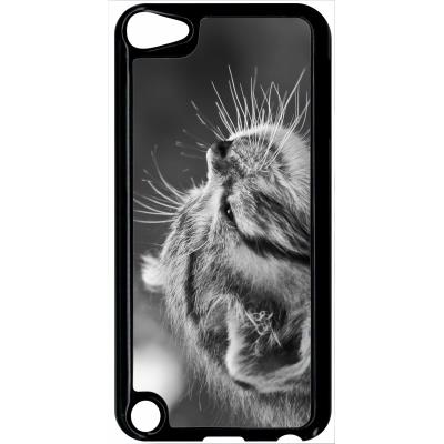 Coque ipod touch 5 chat zebre