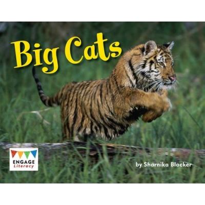 Big Cats (Engage Literacy Green)