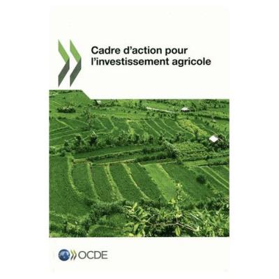 Aide au développement - N° 1974 - Aide au développement - , efforts et politiques poursuivis par les membres du Comité d'aide au