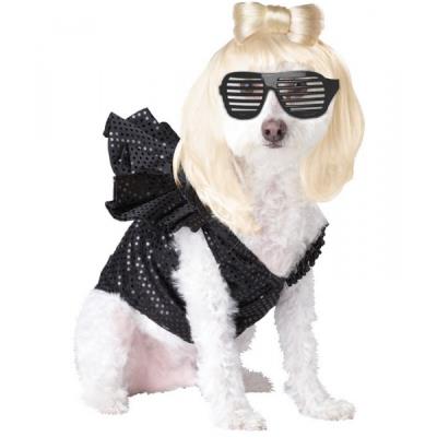 Costume de Lady Ouafaga - S