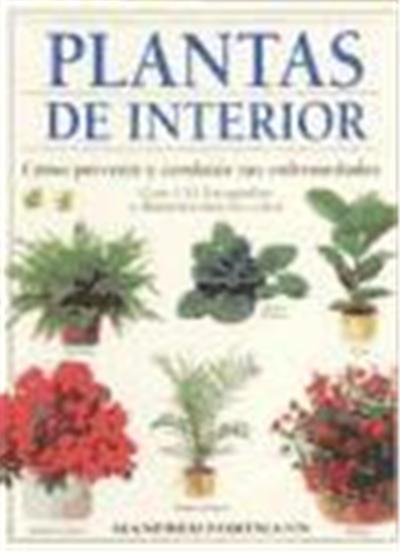 PLANTAS DE INTERIOR
