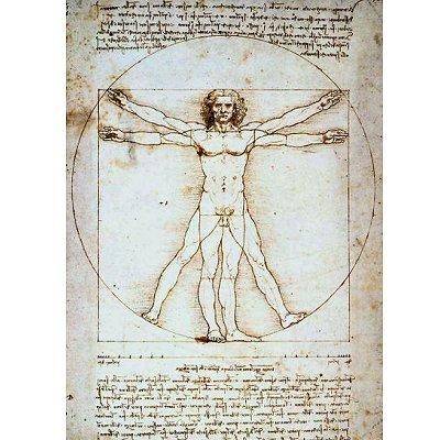 Piatnik - Puzzle 1000 pièces - Léonard de Vinci : Proportions du corps humain