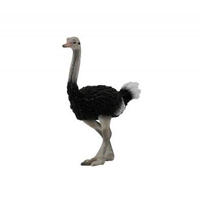 Figurines Collecta - Autruche
