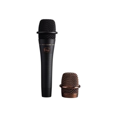 Blue Microphones en·CORE 200 - microphone