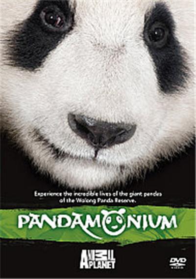 Pandamonium