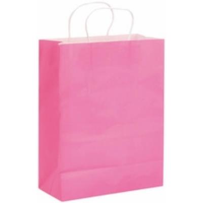 Glorex geschenktte, (b)250 x (h)330 mm, hellgrn papier-tragetasche, aus kraftpapier, mit tragekordel, auáen hellgrn, innen weiá,