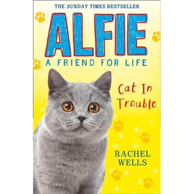 Alfie Cat In Trouble (Paperback)