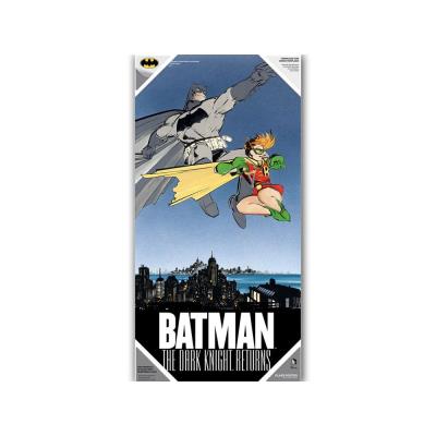 Poster DC Comics verre trempé Dark Knight Returns Batman & Robin 30x60cm