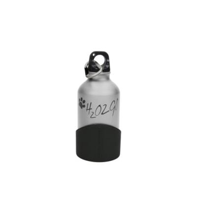 Kapimex h2o2go gourde argenté 350 ml