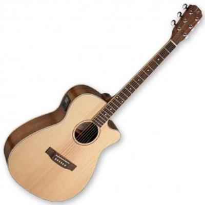 James Neligan Asy-ace - Guitare Folk électro