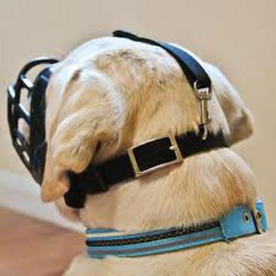 Cie Animals - Museli&egrave;re Baskerville Ultra Muzzle - Taille 4