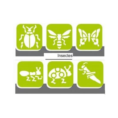 6 Pochoirs Plastique Insectes