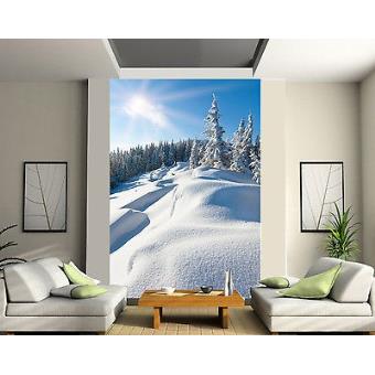 Papier peint géant 2 lés, tapisserie murale déco Montagne ...