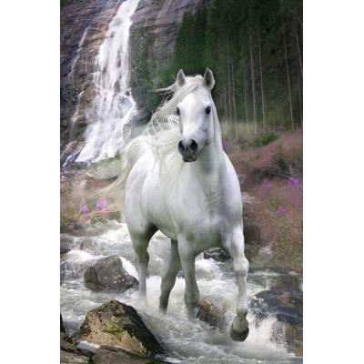 Affiche rectangulaire Cheval et cascade