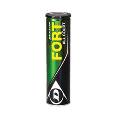 Dunlop fort all court tube de 4 balles