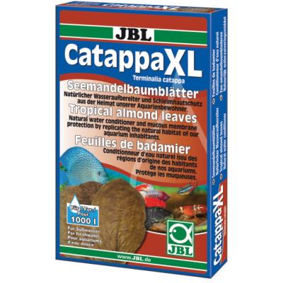 Comparer les prix de Catappa xl (feuilles de badamier)