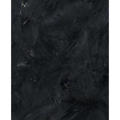 Plumes - Noir - Sachet de 3 g - Ébouriffées - Lg 8 à 12 cm