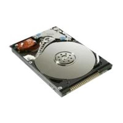 MicroStorage - vaste schijf - 40 GB - IDE