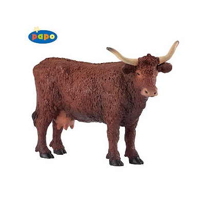 Vache salers
