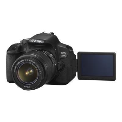 Canon EOS 650D - appareil photo numérique objectifs EF-S 18-55 mm IS II et 55-250 mm IS II