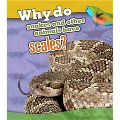 Why Do Snakes & Other Animals Have Scale