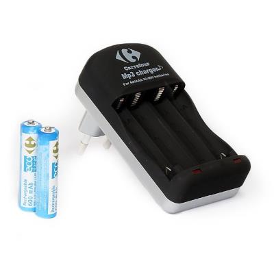Uniross - Chargeur de batteries AA/HR6 et AAA/HR03 + 2 accus 600 mAh - ref : U0179713E