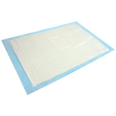 Tapis Absorbant 40X60Cm X10 Pieces
