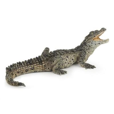 Papo - Crocodile - Bébé