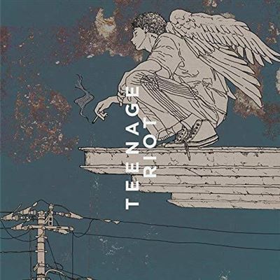 Flamingo / Teenage Riot(teenage Version First Limited)