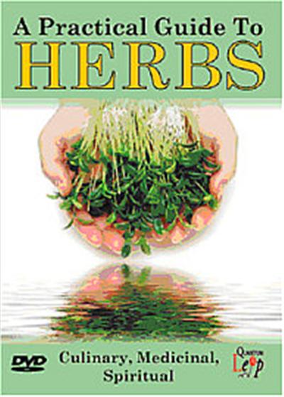 The Practical Guide To Herbs