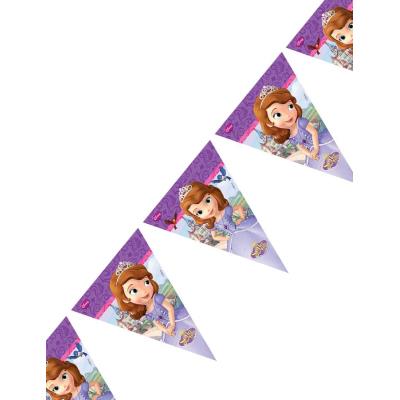 Guirlande fanions princesse Sofia (3 m)