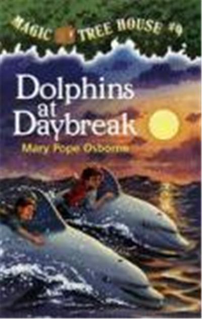 Dolphins at Daybreak, Stepping Stone Book Series