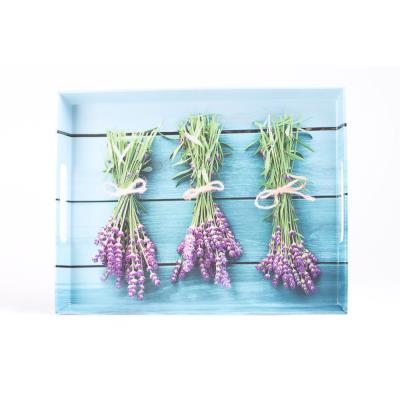 EMSA 0000513713 CLASSIC PLATEAU MÉLAMINE LAVANDE 40 X 31 CM